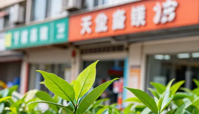 实施设计时需澄清的常见误区与性能影响